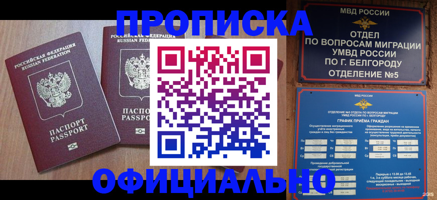 найти адрес прописки в Ворсме